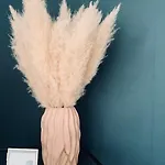 L\'Olivier #Terrasse #Confort